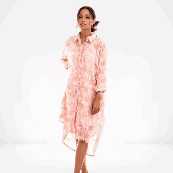 Blush Fringe Sheer Shirt Dress